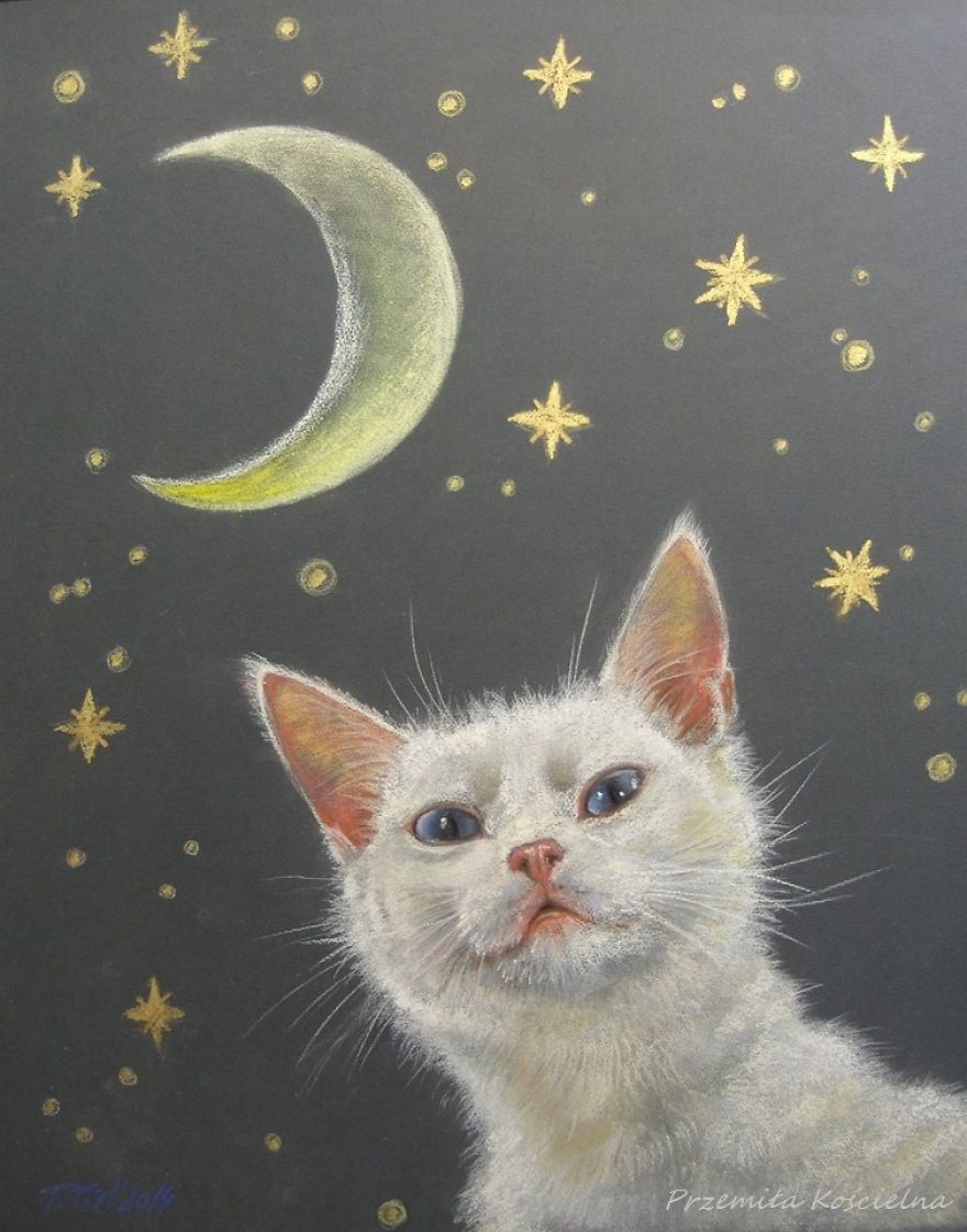Good Night! White Cat Portrait On Gray Paper With Gold Stars