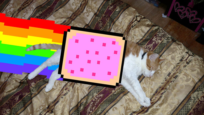 Nyan Cat Pop Tart Dreams