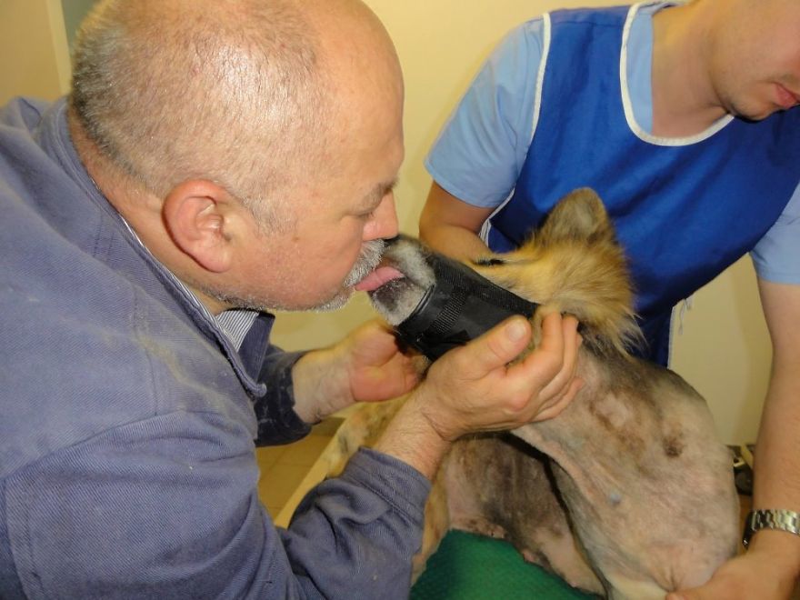 950 Dogs Will Lose Their Refuge At The End Of This Month And They Need Your Help