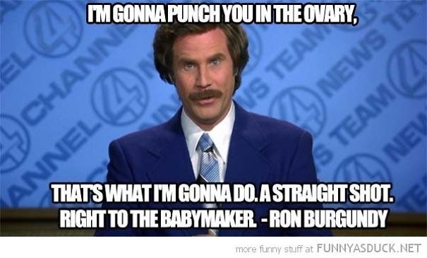 Ron-Burgandy-Punch-in-the-Ovary-58e6b8d31136f.jpg