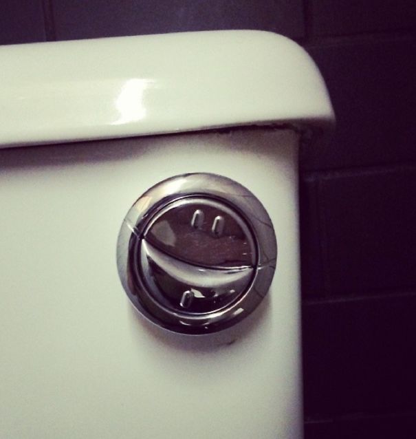 This Was A Very Happy Toilet Flusher