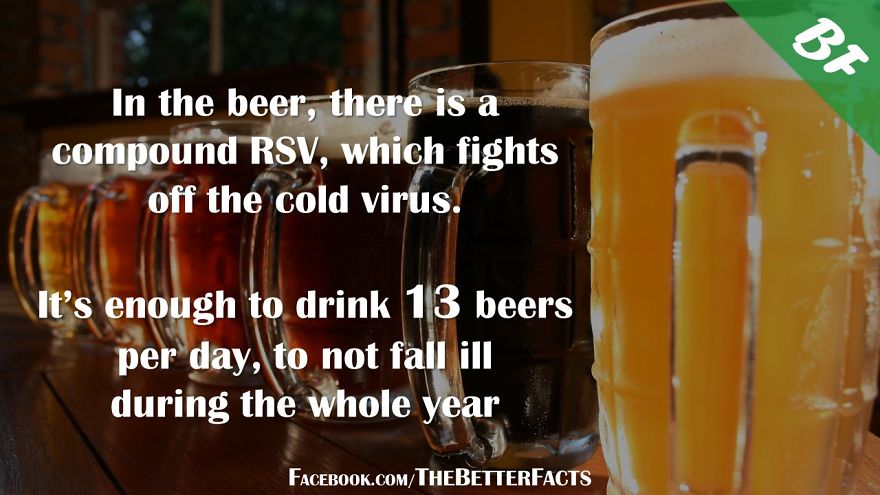 I Was Bored With Usual Facts Online, So I Created The Better Facts I Was Bored With Usual Facts Online, So I Created The Better Facts
