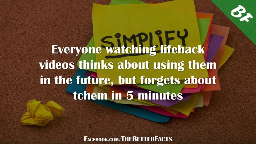 I Was Bored With Usual Facts Online, So I Created The Better Facts I Was Bored With Usual Facts Online, So I Created The Better Facts