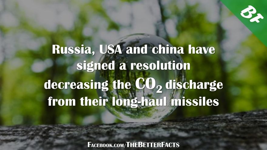 I Was Bored With Usual Facts Online, So I Created The Better Facts I Was Bored With Usual Facts Online, So I Created The Better Facts