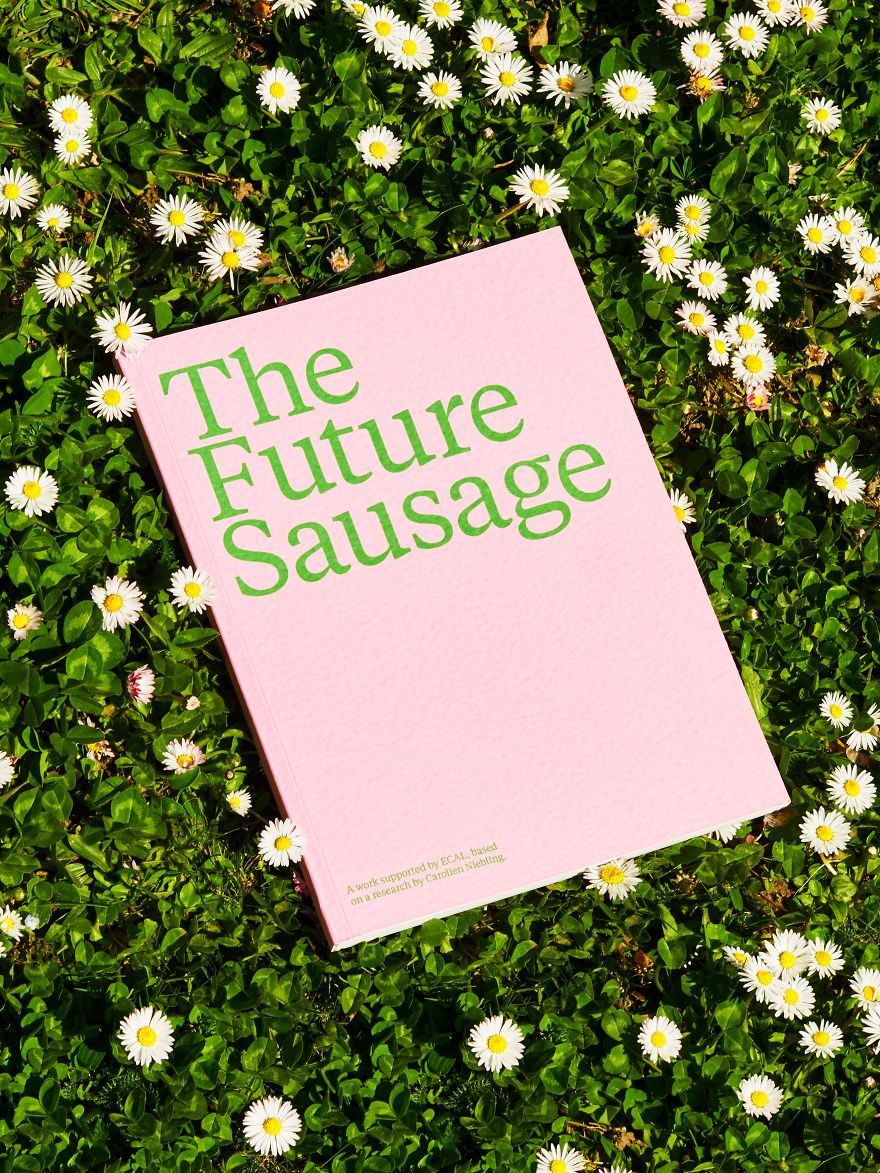 The Future Sausage: The Design Of The Sausages Explored, To Eat Less Meat In The Future