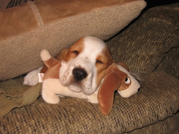 Sleeping With A Smaller Version Of Himself