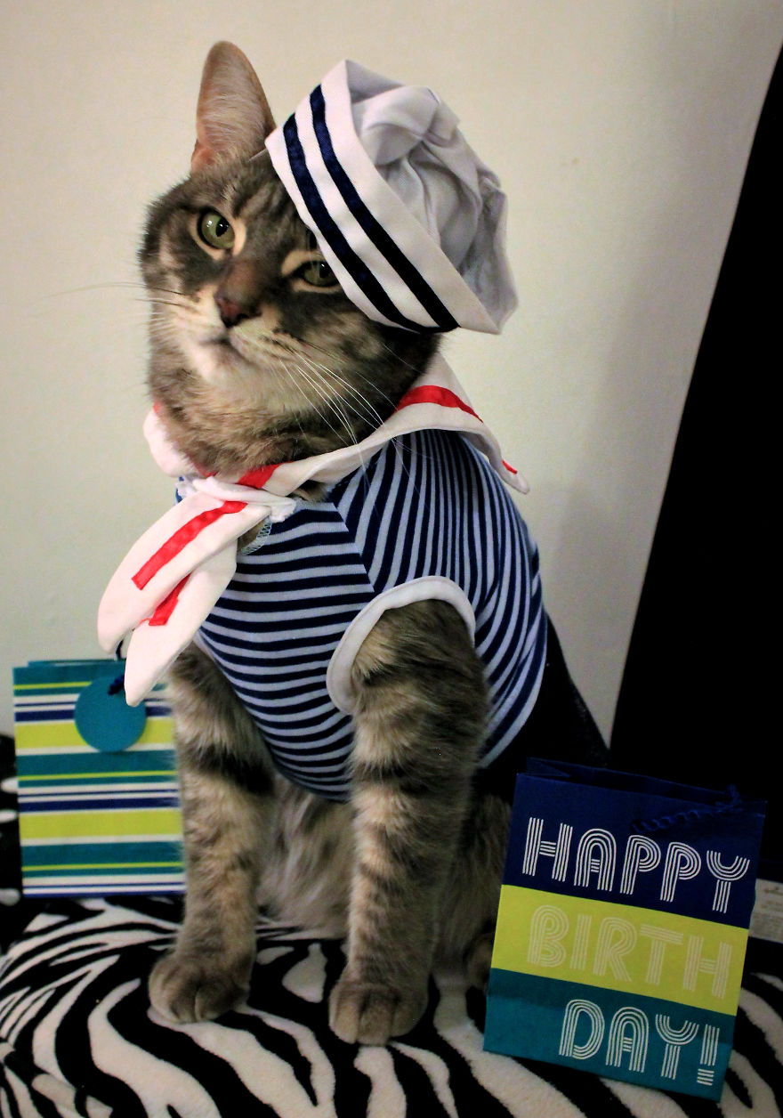 This Cat Enjoys Dressing Up!