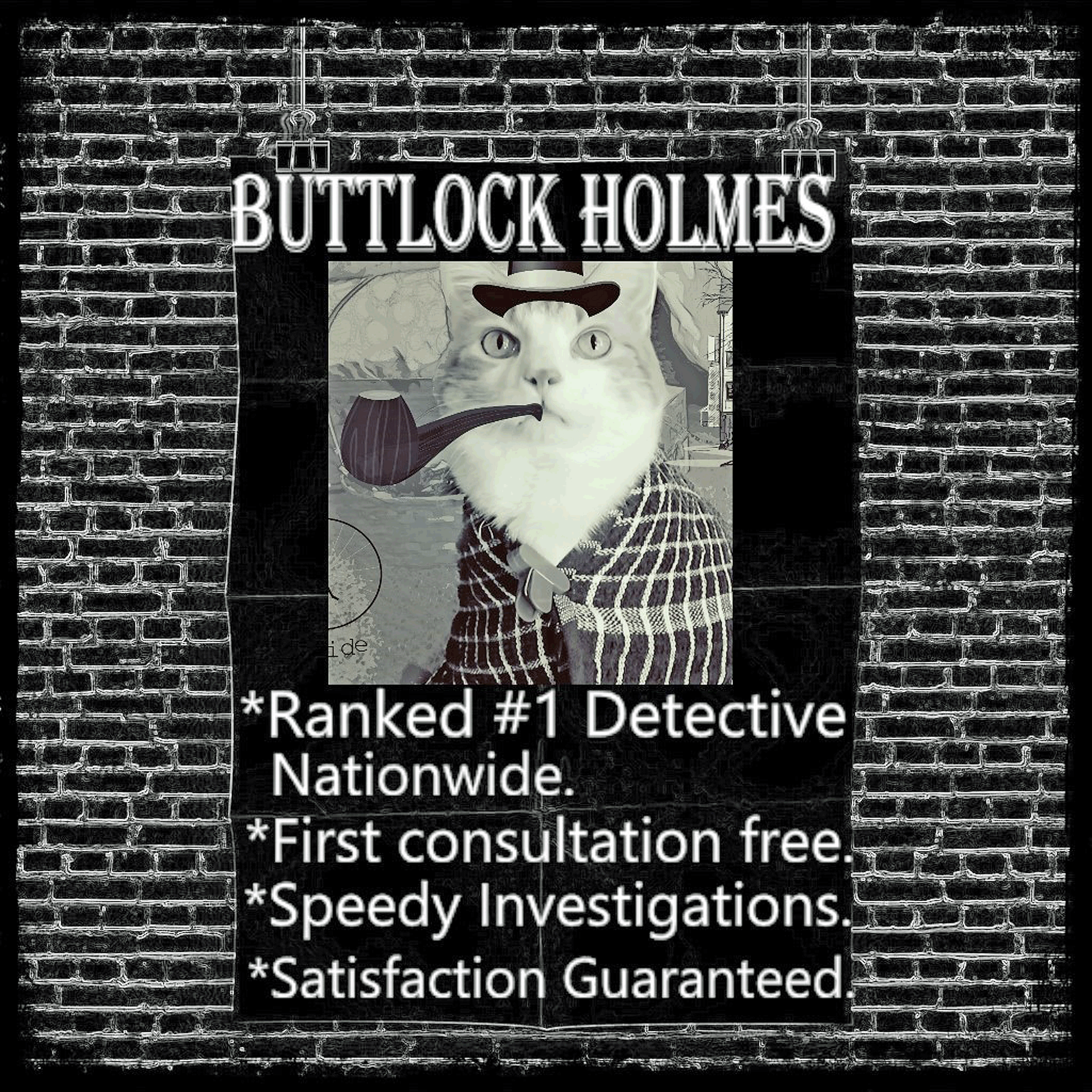 Buttlock Holmes Cat Detective Can Crack Any Case!