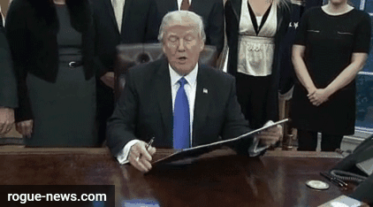 This Trump Gif Maker Is Hilarious!