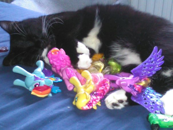 Mavis Loves My Little Ponies And Sleeps With Them When Ever She Gets A Chance.