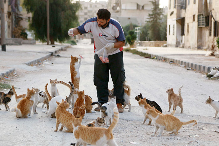 cat-man-aleppo-rescues-dog-puppies-syria-15