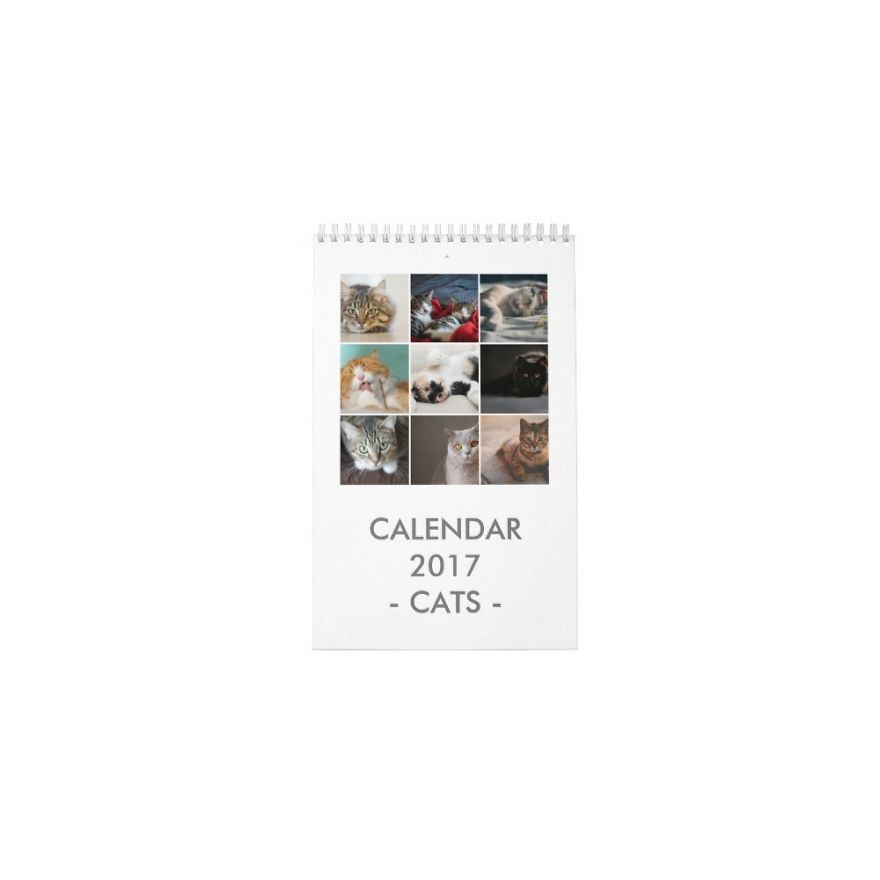 10+ Coolest Gift Ideas For Cat Lovers 10+ Coolest Gift Ideas For Cat Lovers
