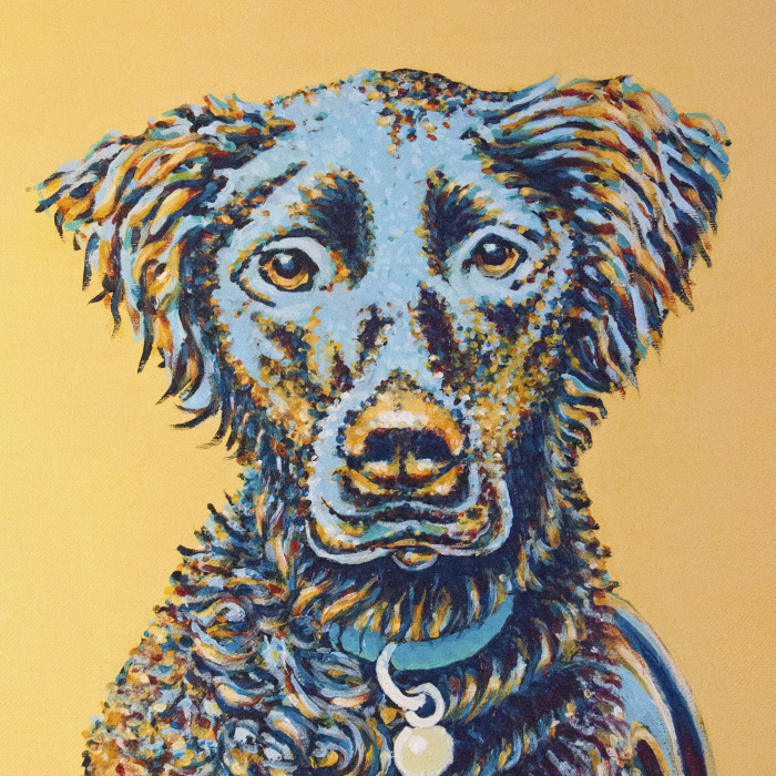 Scf K9’s Are Commission Acrylic Dog Portraits Made With Vibrant Color And Personality For Their Owners And Family!