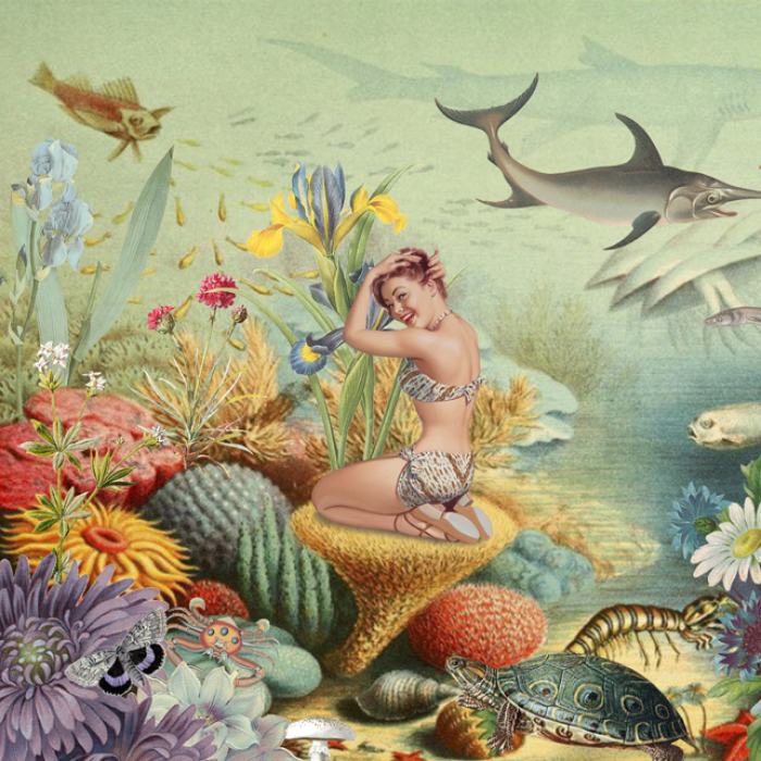 A Series Of Vintage Collages Inspired By Nature And Other Worlds