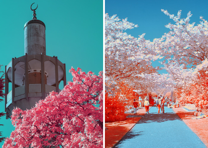 I Captured The Arrival Of Spring On London In Ultracolour