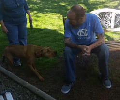 After This Man Lost 50 Pounds, His Dog Didn't Recognize Him