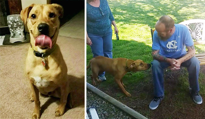 After This Man Lost 50 Pounds, His Dog Didn’t Recognize Him
