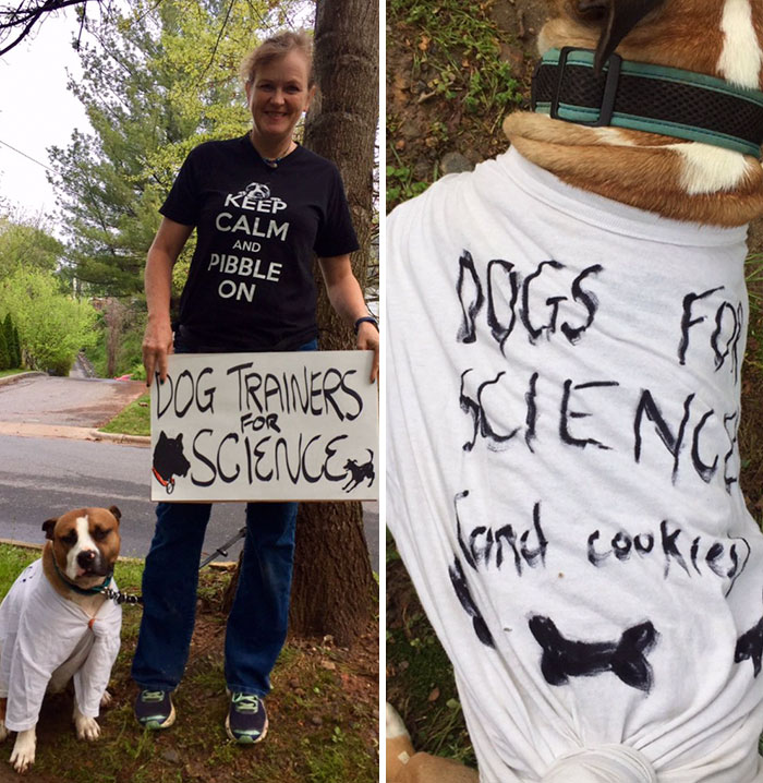 Perros por la ciencia (y galletas)