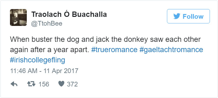 donkey-dog-long-distance-friendship-jack-buster-4