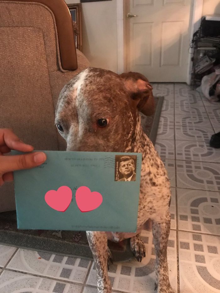 This Woman's Ex Still Sends Their A Dog Birthday Present Every Year, And The Internet Wants Them Back Together