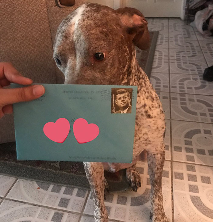 This Woman’s Ex Still Sends Their A Dog Birthday Present Every Year, And The Internet Wants Them Back Together
