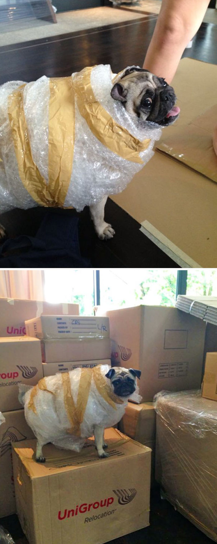 My Girlfriend Is Moving House, She Left Her Sister Alone And Then This Happened