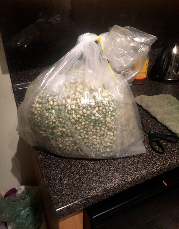 My Brother Got Drunk And Ordered 20 Pounds Of Wasabi Peas
