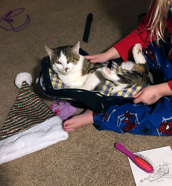 Daughter Strapped Cat In Baby Doll Car Seat