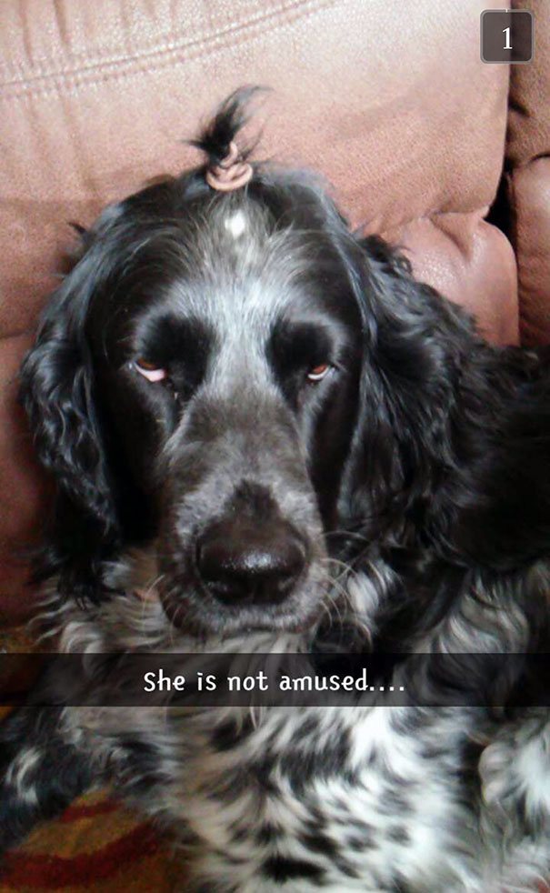 This Is What Happens When You Leave Your Little Sister Alone With Your Dog