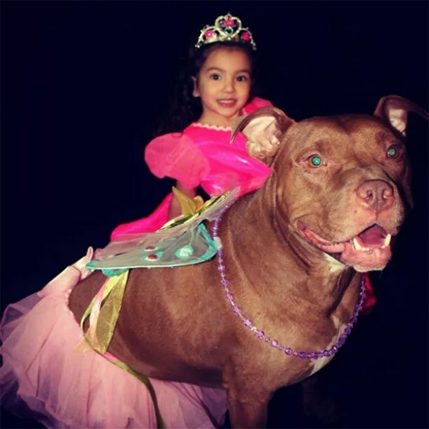 This Little Girl Turned Dog Into A Fairy