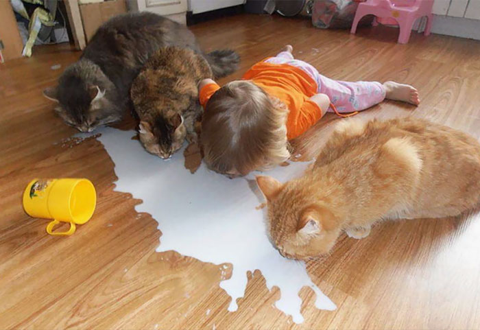 147 Reasons Why You Shouldn’t Leave Your Pets With Kids