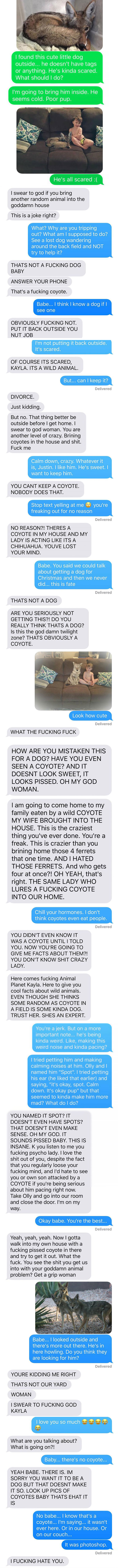 Wife Pranked Her Husband With A Coyote, Photoshopped Into Their Home