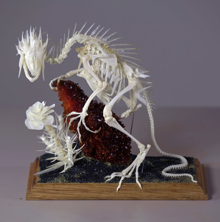 Intricate Mythically Inspired Creatures Constructed From Assorted Animal Bones