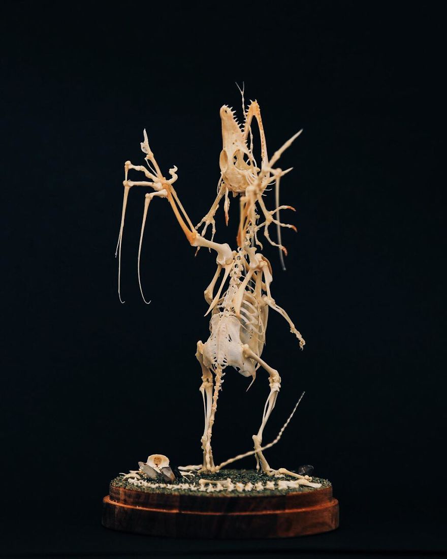 Intricate Mythically Inspired Creatures Constructed From Assorted Animal Bones