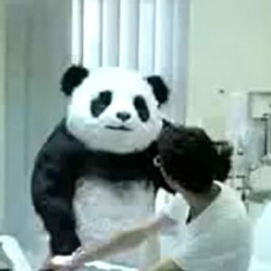 Helping Panda