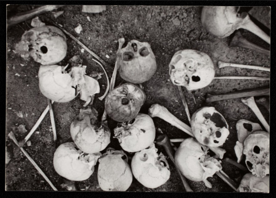1940-1944: Skulls And Bones On Ground
