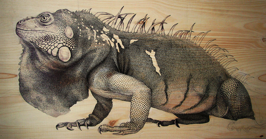 My Nature-Inspired Drawings That I Create On Recycled Wood