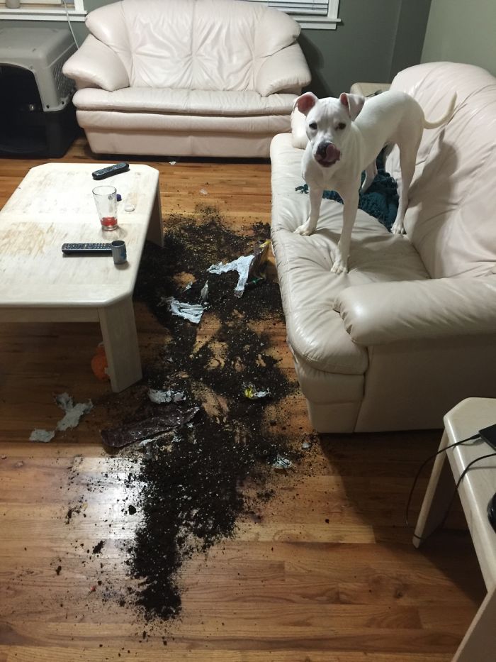Ghost Had Fun While Mom Was Gone