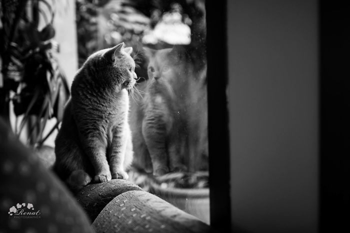 Black And White