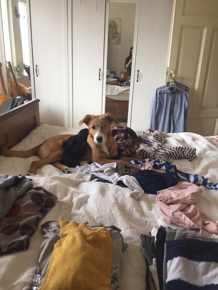 Helping You With The Laundry Mommy