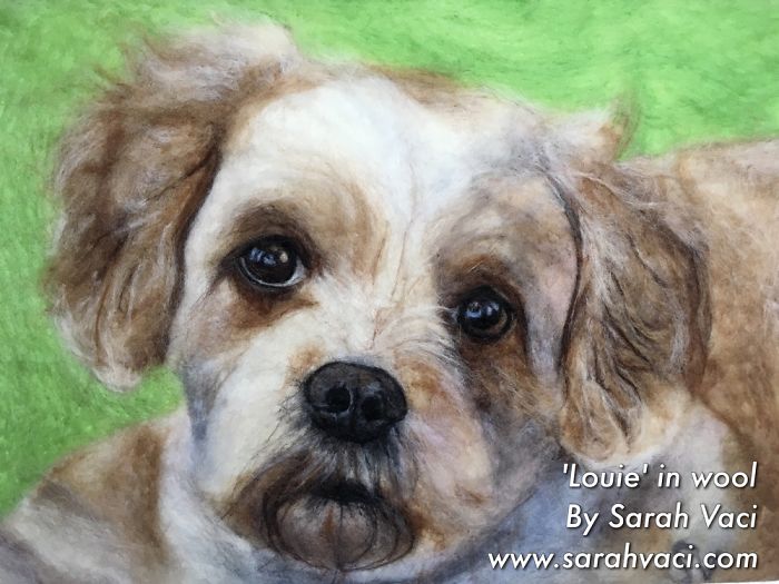 You Won't Believe What These Pet Portraits Are Made With!