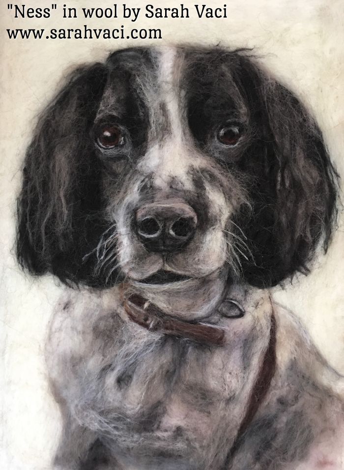 You Won’t Believe What These Pet Portraits Are Made With!