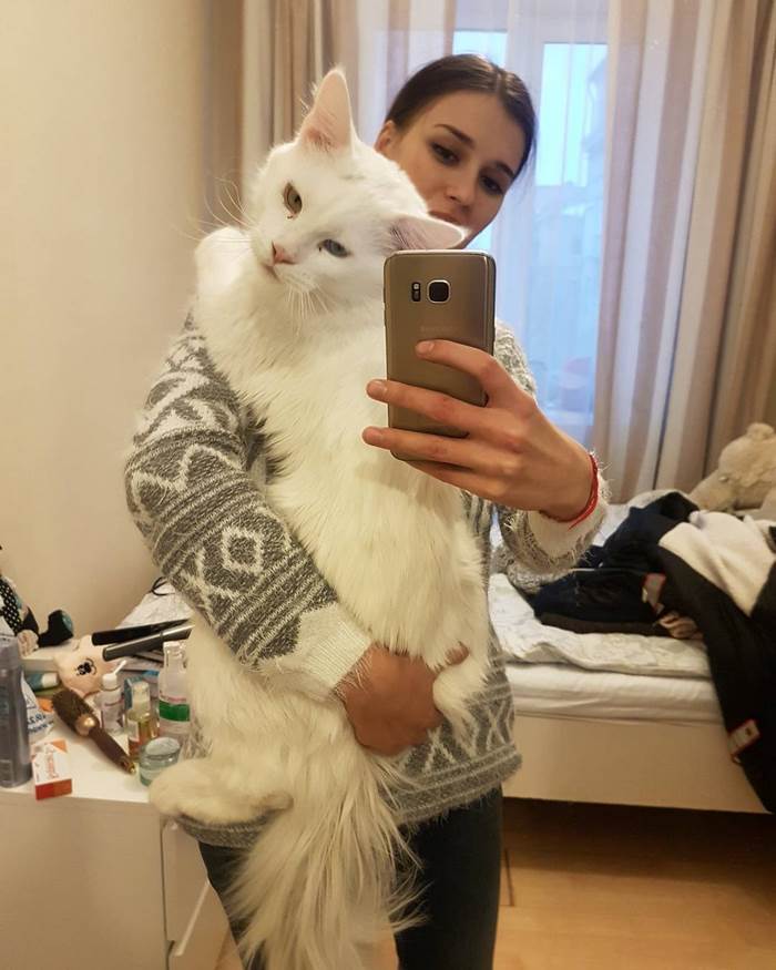 maine-coon-cat-hugs-owner-tihon-25