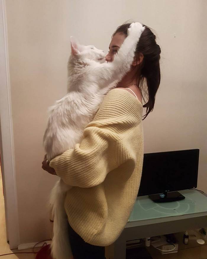 maine-coon-cat-hugs-owner-tihon-26