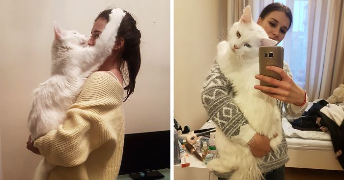 Kitty Grows Up Hugging His Human Every Day, Won’t Stop Even After Becoming A GIANT