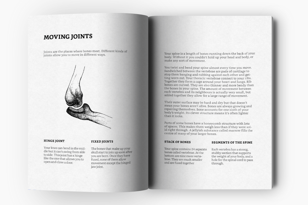 We Created This Animated Anatomy Textbook