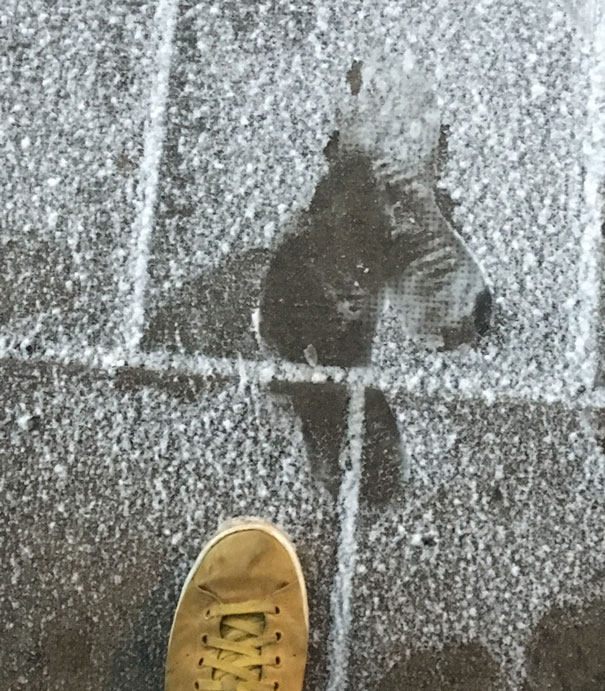 I Accidentally Painted A Horse With My Foot While Waiting For The Bus
