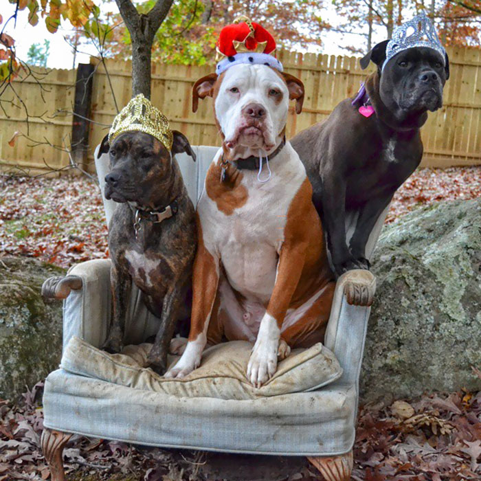 Three Pits In A Chair