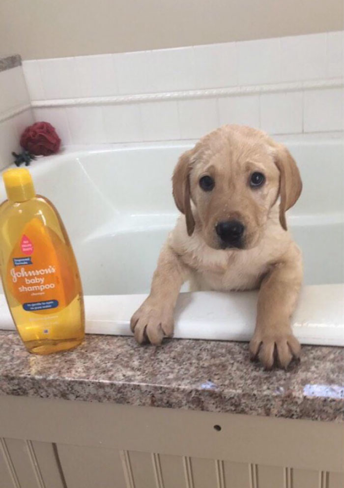 Gave The Little Guy His First Bath