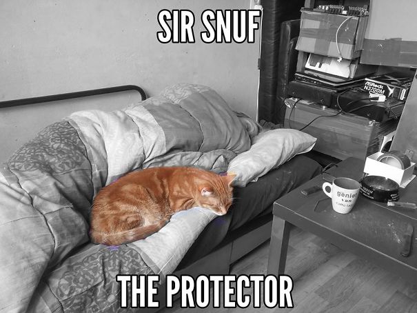 Sir Snuf The Protector